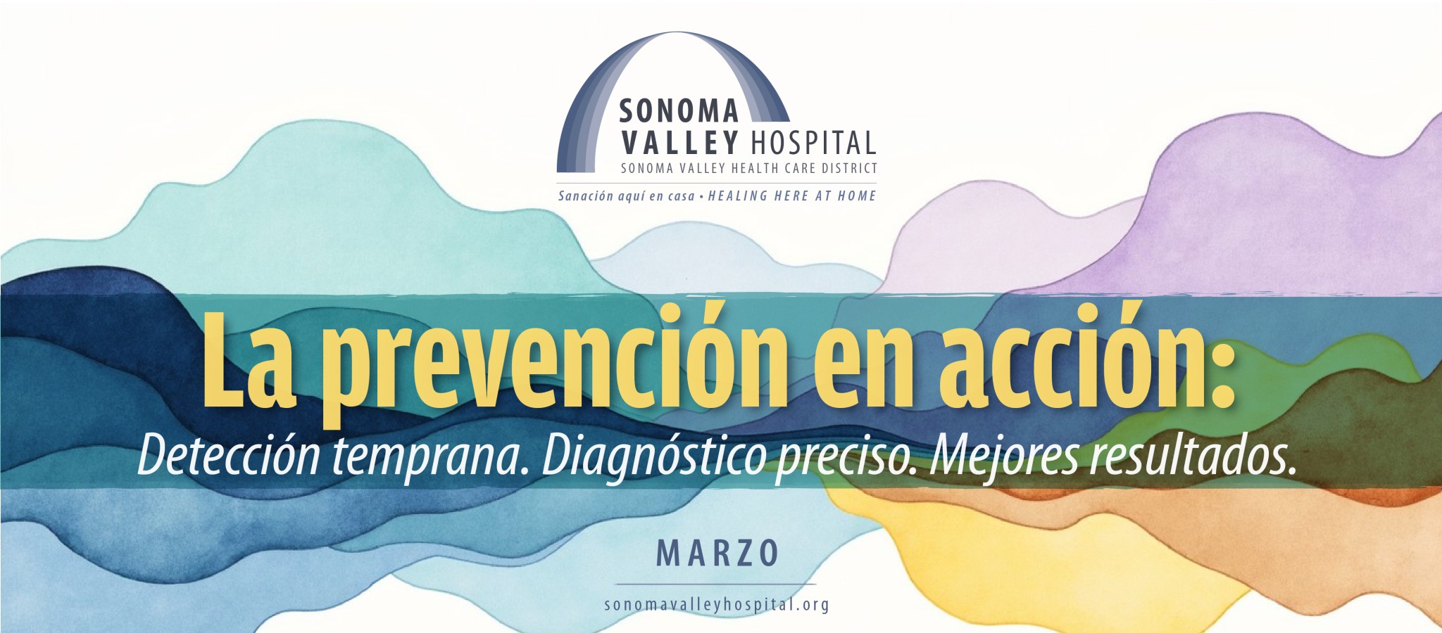 SVH Mar2026 PIA banner span